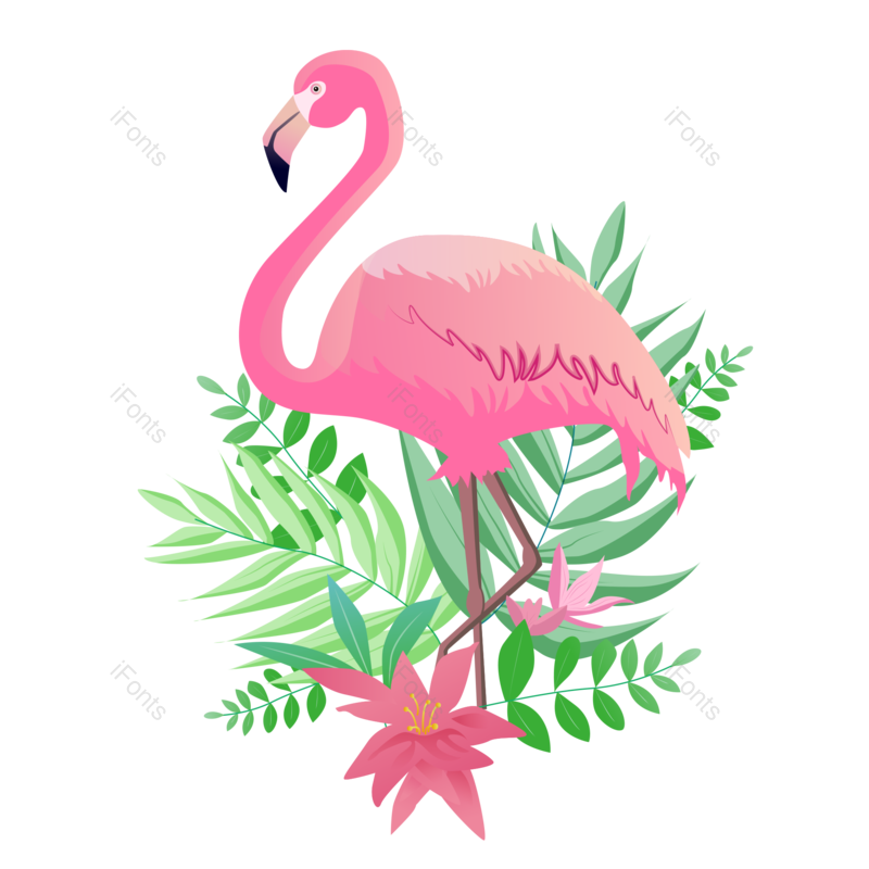 夏天图片,花卉元素,动物PNG,植物免抠素材